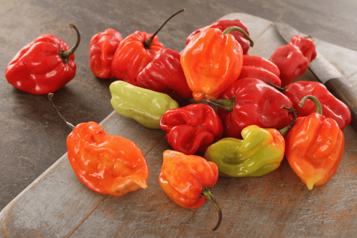 Escala scoville