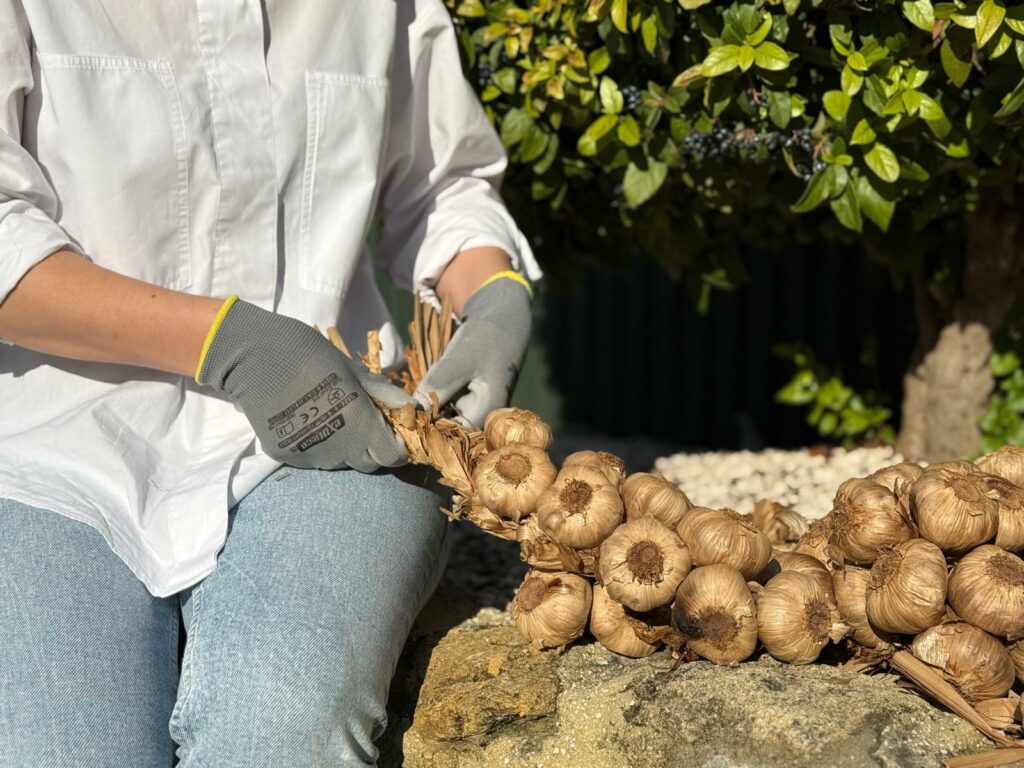 Una fábrica cordobesa rescata el trenzado tradicional del ajo y lo aplica por primera vez al ajo negro