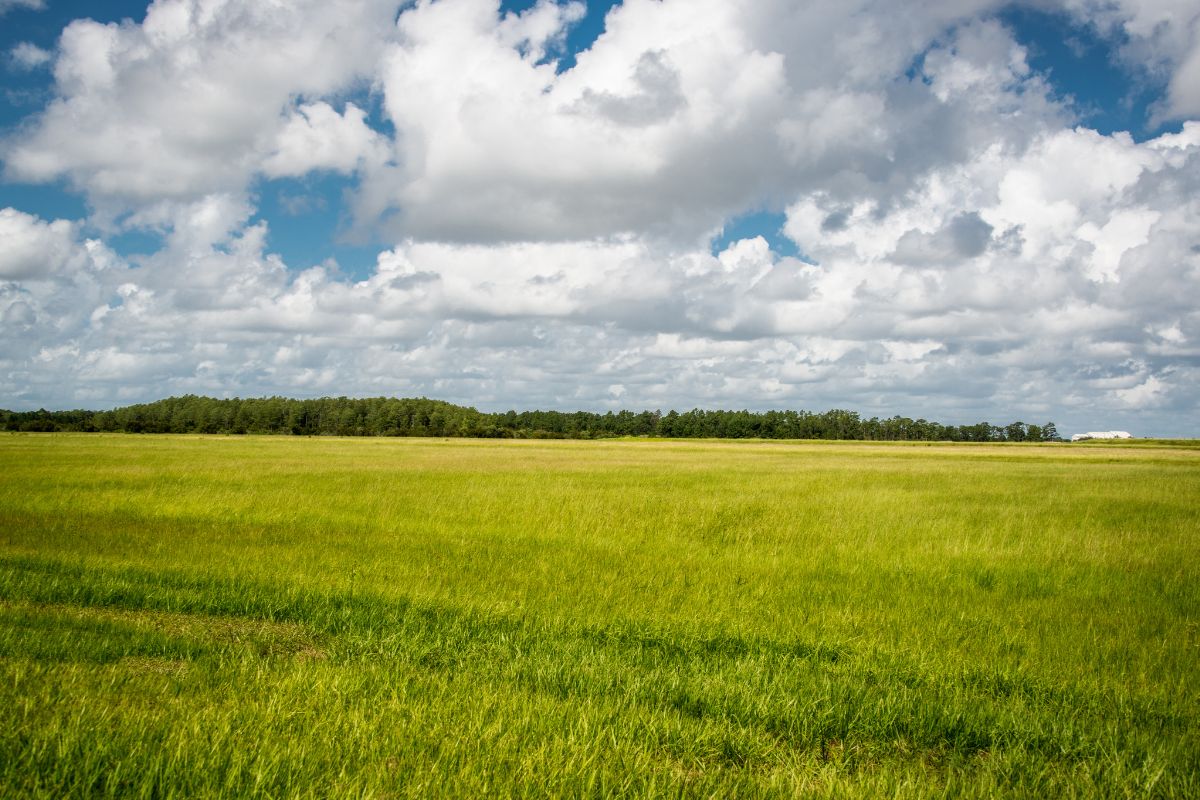 Que significa ser producto ecologico